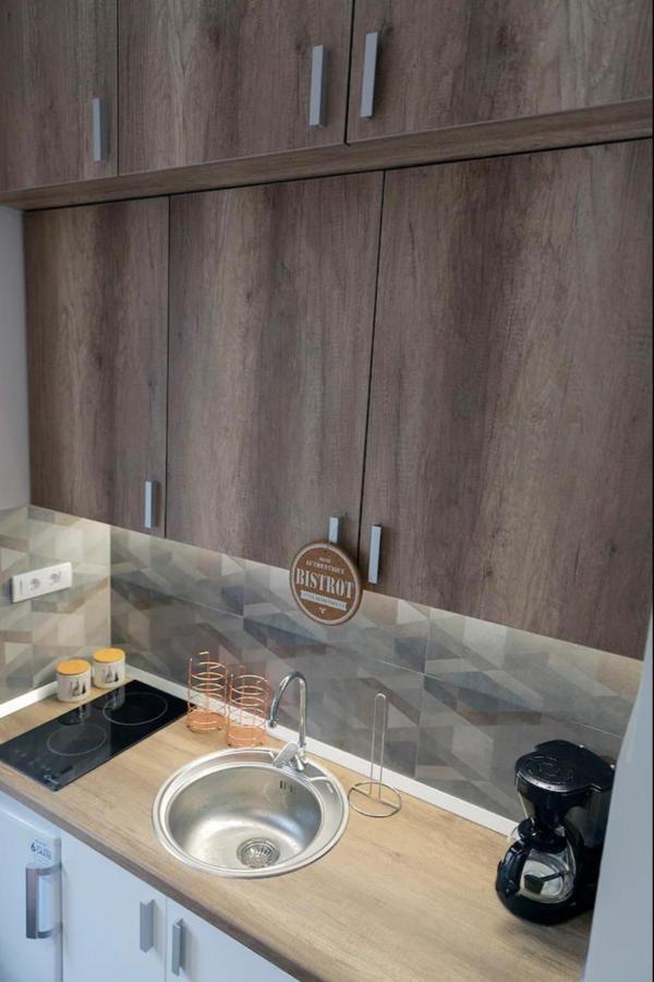 New Studio In The City Center ノヴィ・サド エクステリア 写真